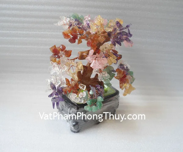 Cây tài lộc nhiều màu nhỏ KC007