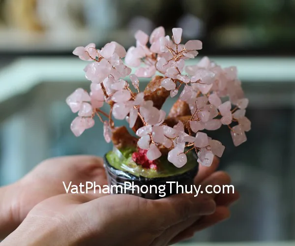 Cây tài lộc thạch anh hồng siêu nhỏ KC060