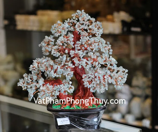 Cây tài lộc đá hải lam bảo KC074
