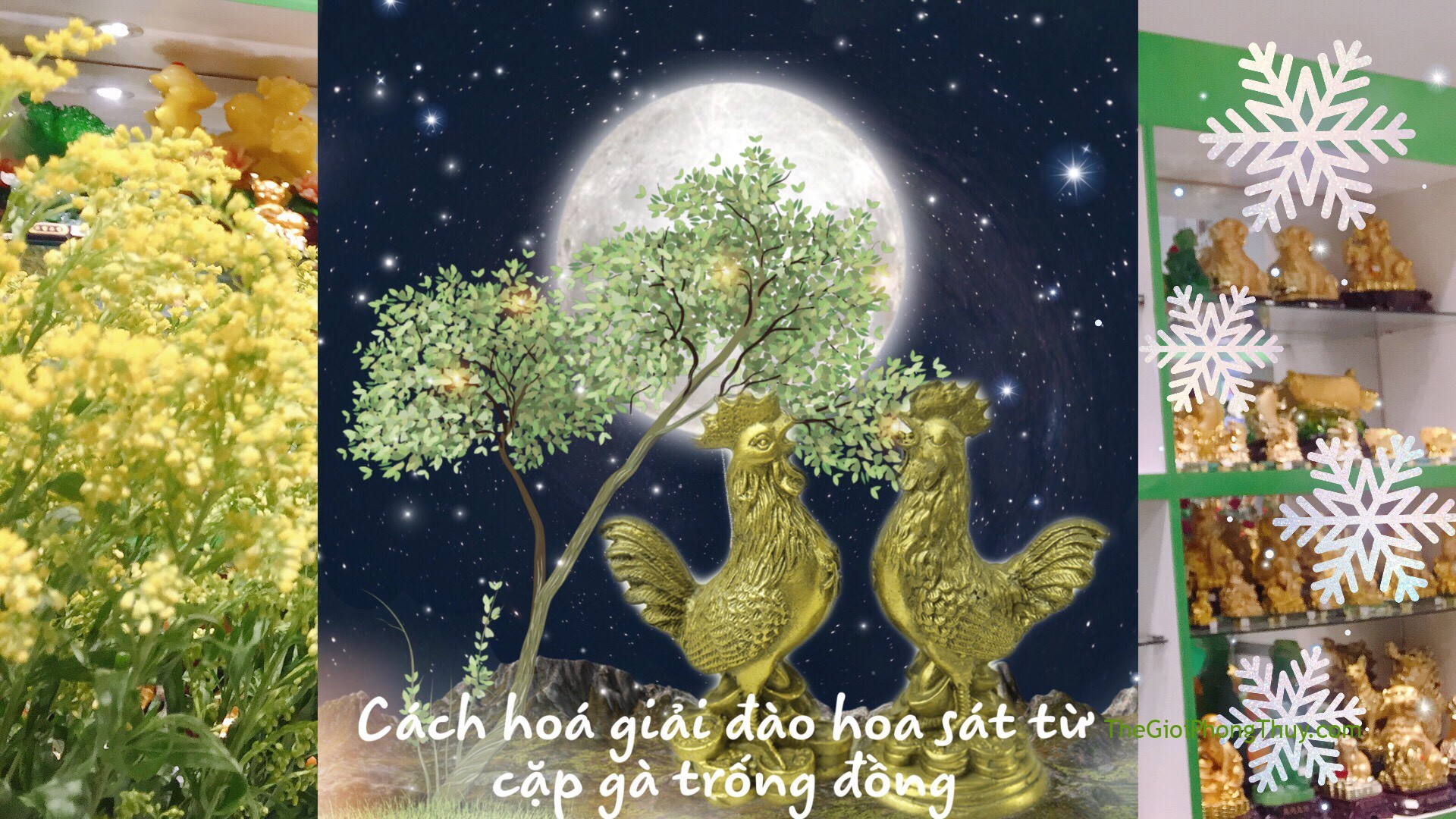 Gà đồng phong thủy - Cách hóa giải "đào hoa sát" | 51