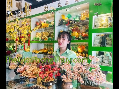 Năng Lượng Phong Thủy - Nữ 1990 sử dụng cây tài lộc màu nào để đem lại tài lộc dồi dào