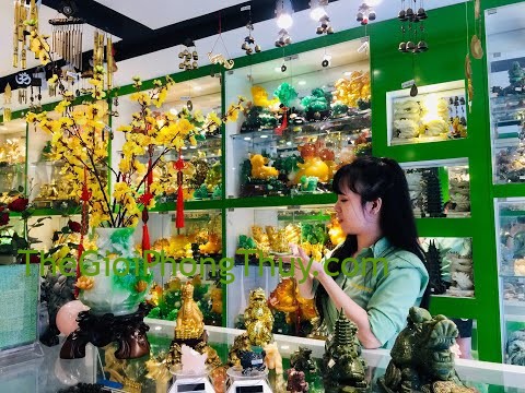 Năng Lượng Phong Thủy - Long Quy (Rùa Đầu Rồng) hóa giải Tai Ách, thu hút Vận May