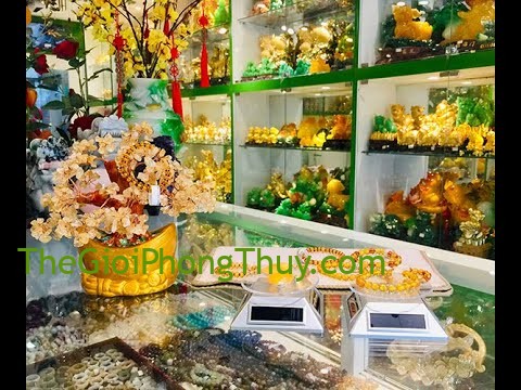 Năng Lượng Phong Thủy - Hồ Phách - Lá bùa hộ mệnh cho sức khỏe