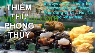 Thiềm Thừ Phong Thủy- Đua nhau "săn " Cóc 3 chân đá tự nhiên thu hút tài lộc