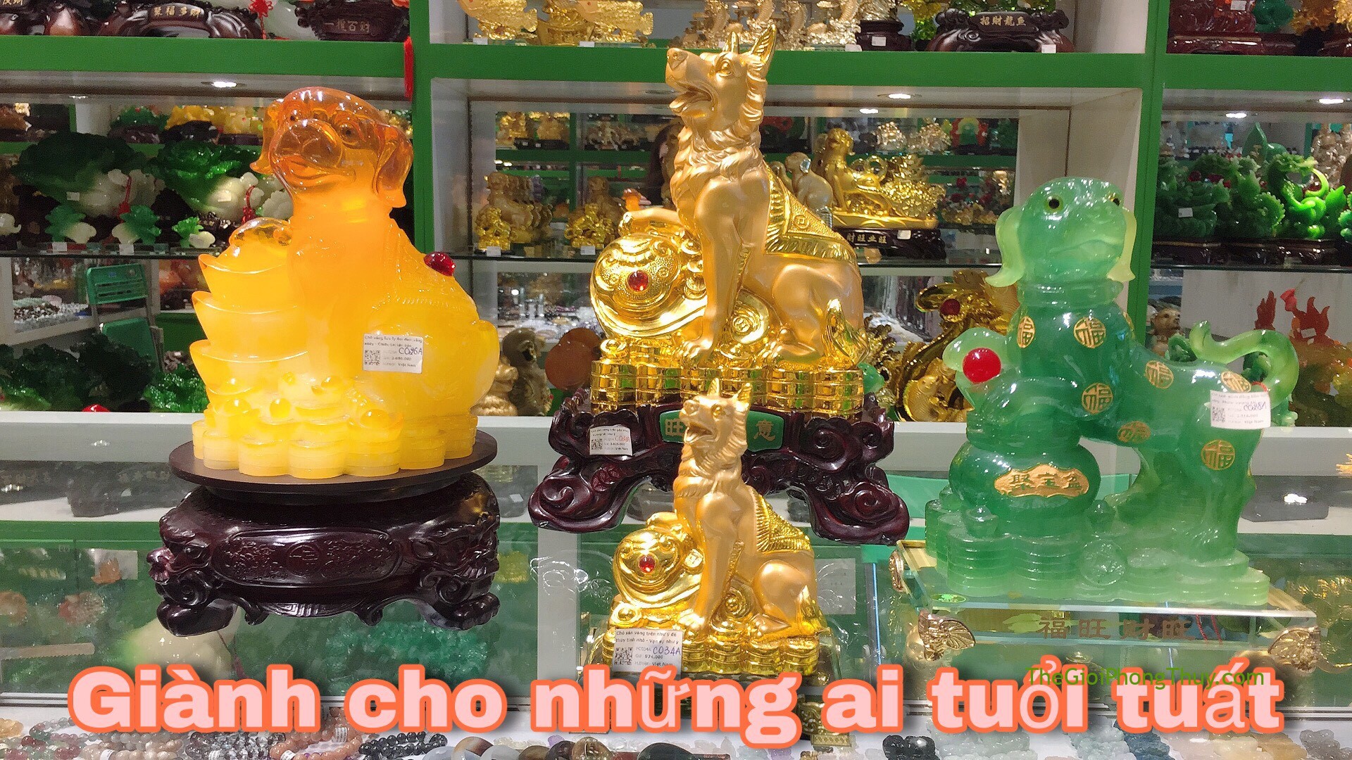 Biểu tượng Tuất (Chó) trong phong thủy | 66