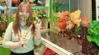 Phong Thủy May Mắn – Tiền Xu May Măn