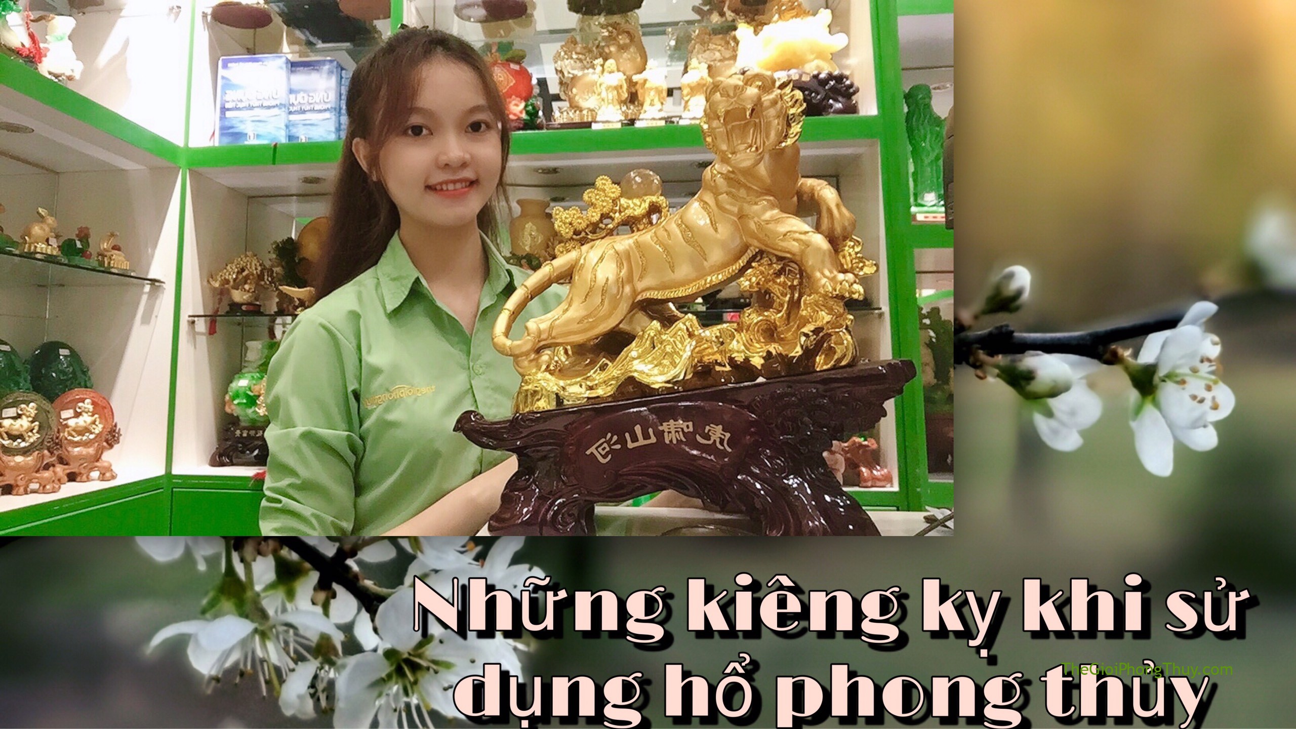 Những kiêng kỵ khi sử dụng Hổ (Cọp) phong thủy | 73