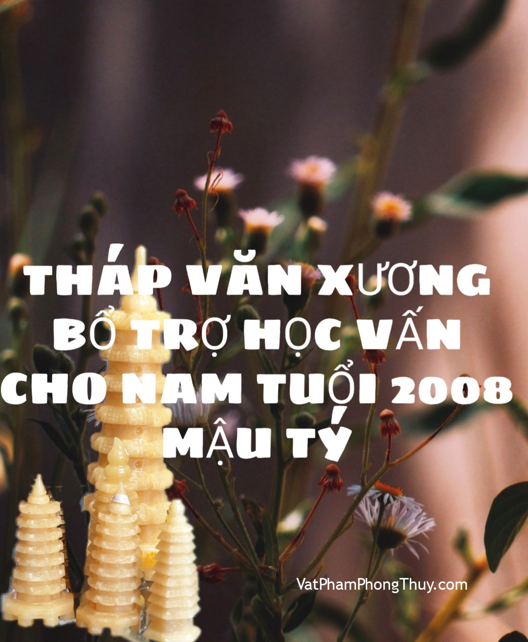 Tháp Văn Xương bổ trợ học hành cho nam 2008 Mậu Tý| Ep 46 - [Tỉ Tỉ Chuyện Phong Thủy]