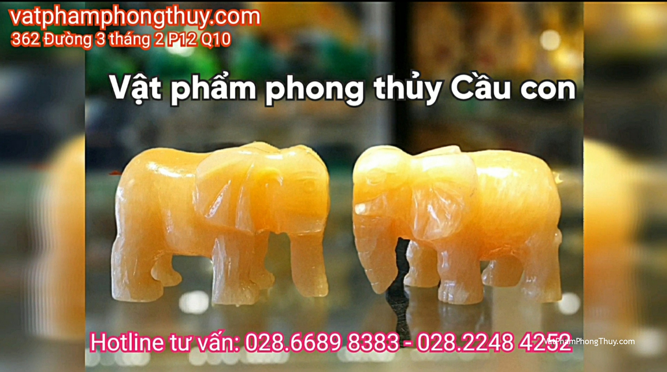 Cầu con theo phong thủy