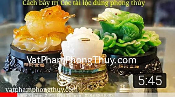 Cách bày trí Cóc tài lộc đúng phong thủy [Cóc phong thủy] (Phần 2)