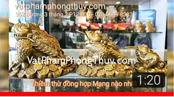 Thiềm thừ đồng hợp Mạng nào nhất ??? [Cóc phong thủy] (Phần 5)