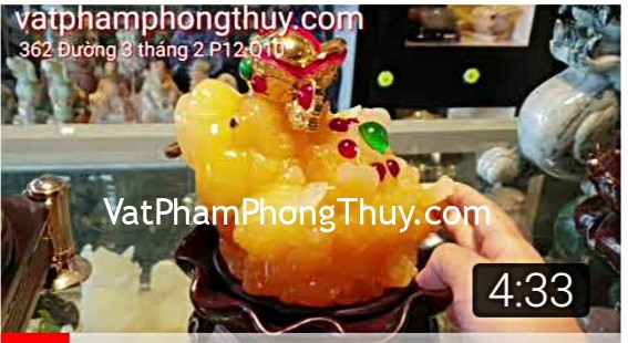 Sự khác biệt giữa Cóc tài lộc và Cóc thường [Cóc phong thủy] (Phần 4)