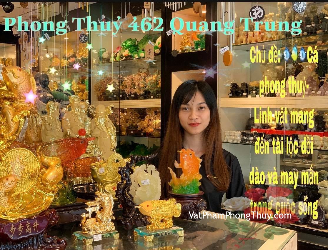 [ Video ] Cá Phong Thuỷ- [ Biểu Tượng Của Sự Giàu Sang, Phú Quý Và May Mắn ]