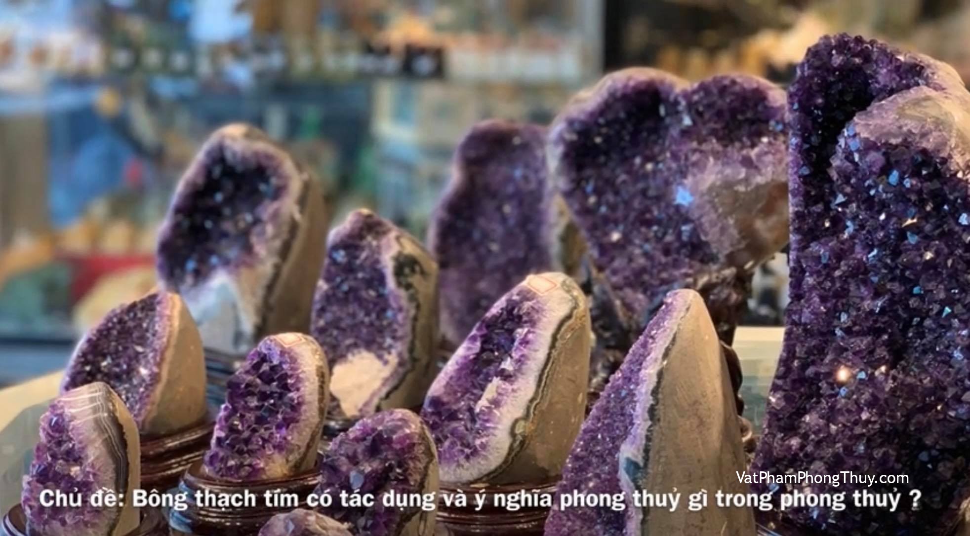 [ Video] Bông Thạch Anh Tím Có Công Dụng Và Ý Nghĩa Gì Trong Phong Thuỷ