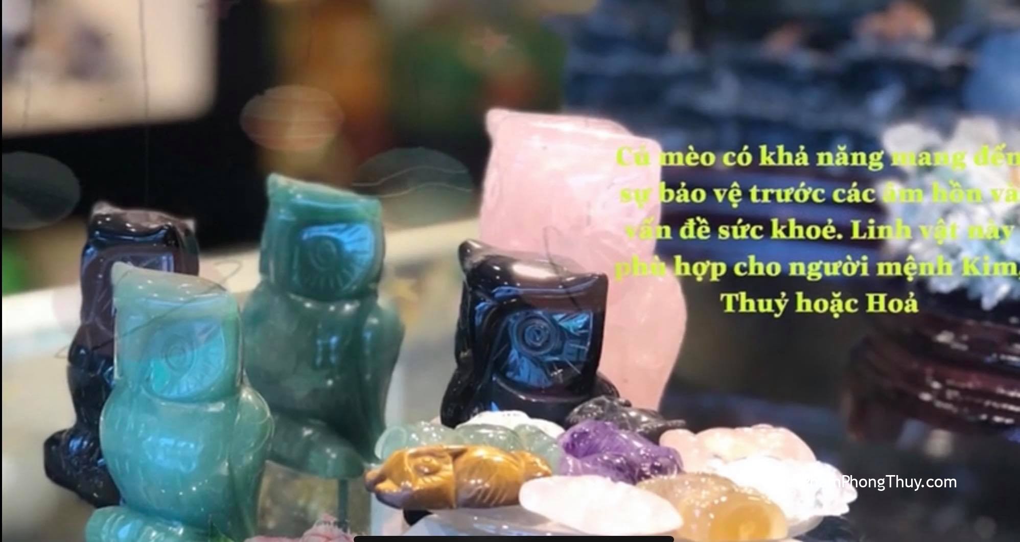 [ Video ]Cú mèo linh vật biểu tượng của sự tiên tri, trí tuệ và sự thông minh sáng suốt [ Linh vật phong thủy ]