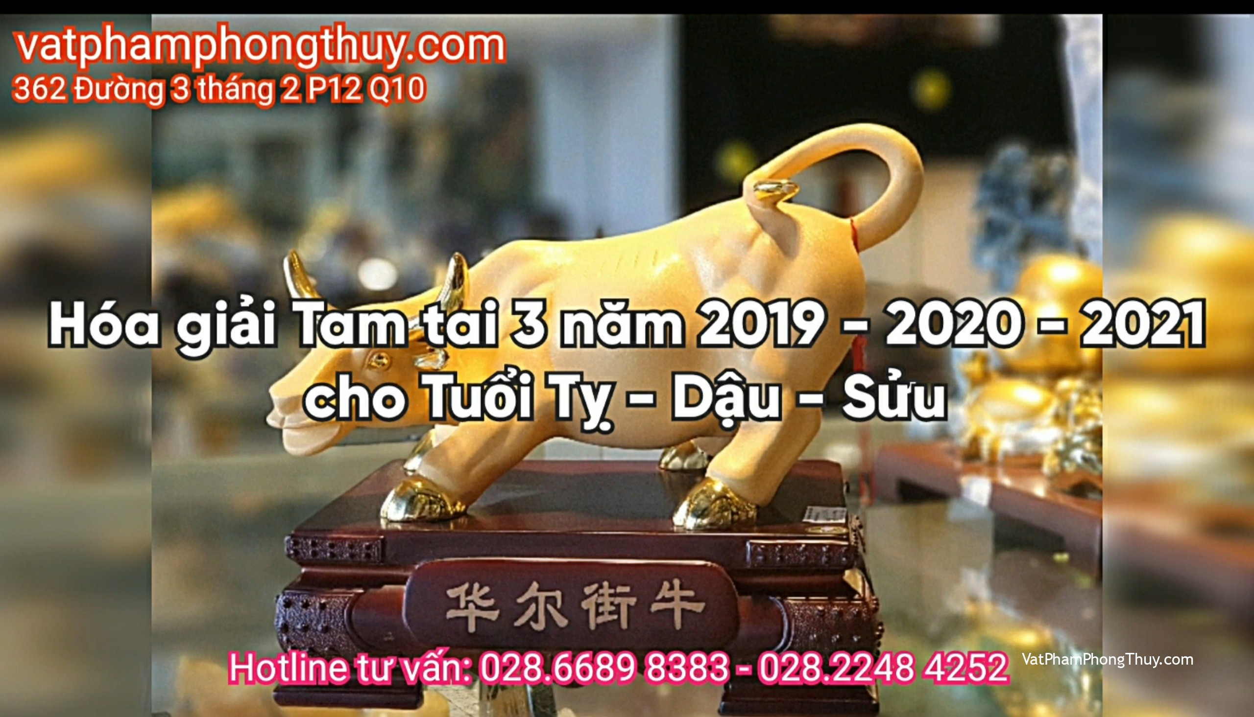 Hóa giải Tam tai 3 năm 2019 - 2020 - 2021 cho Tuổi Tỵ - Dậu - Sửu