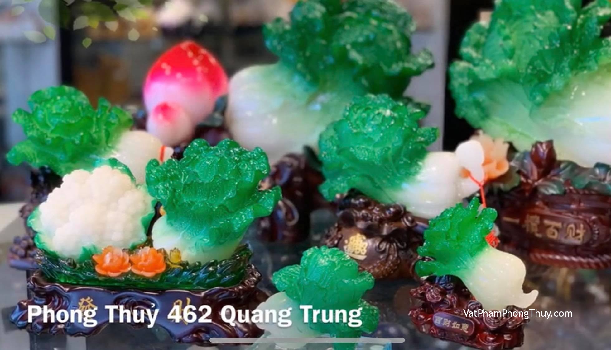 Bắp cải vật phẩm cát tường, chiêu tài hút lộc cho gia chủ !