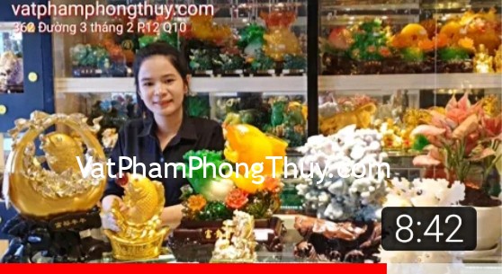 Cá phong thủy - biểu tượng của sự giàu sang, phú quý và may mắn [Chủ đề tài lộc]
