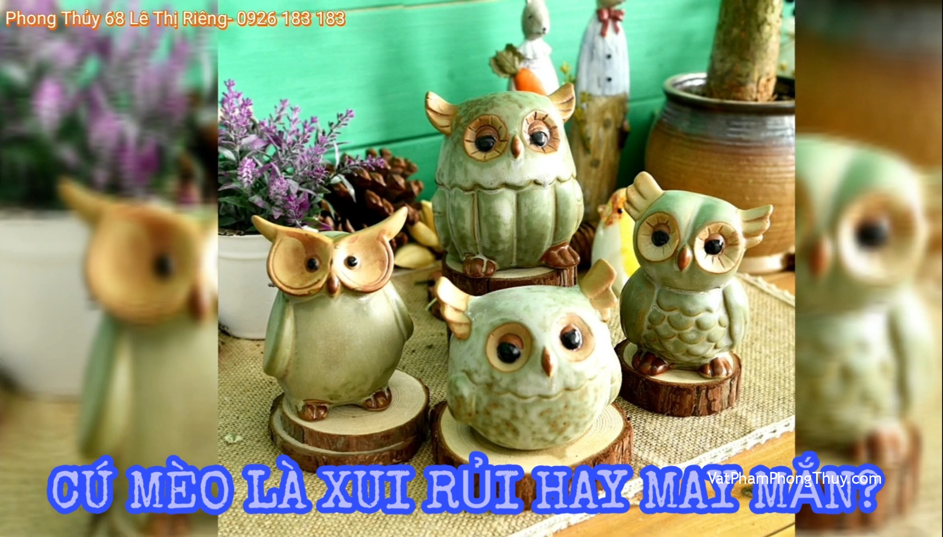 Cú mèo – linh vật biểu tượng của sự tiên tri, của trí tuệ và sự thông minh sáng suốt◇Ep33 [Tỉ Tỉ Chuyện Phong Thủy]