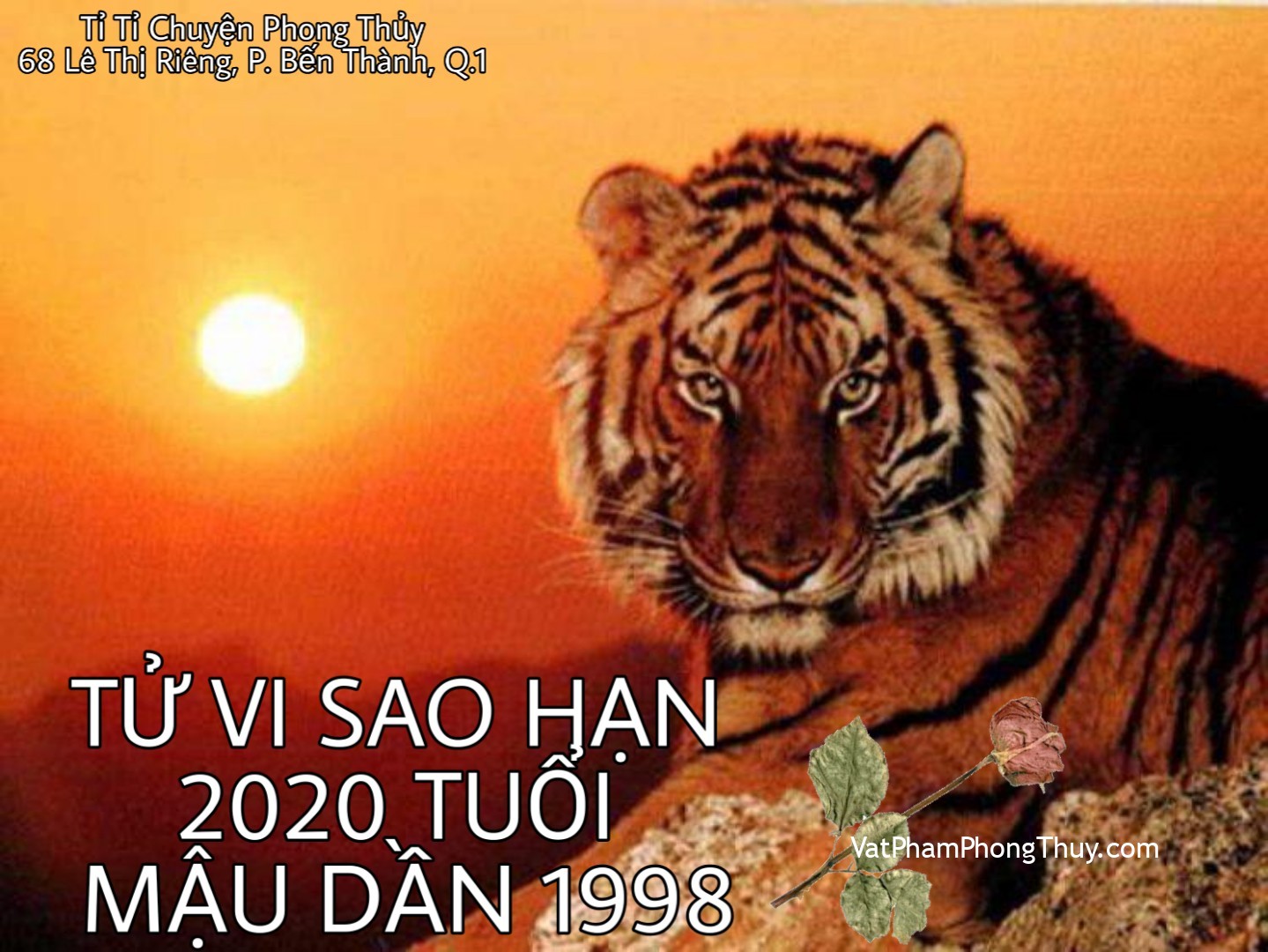Tử vi sao hạn tuổi Mậu Dần 1998 nam mạng năm 2020| Ep 42 [Tỉ Tỉ Chuyện Phong Thủy]