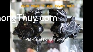 Hướng dẫn cách chọn tỳ hưu chuẩn phong thủy