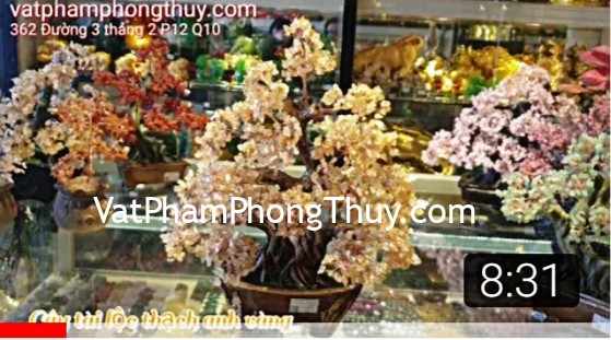 Muốn sức khỏe tốt và có tài lộc nên bày trí gì ??? [Chủ đề tài lộc]