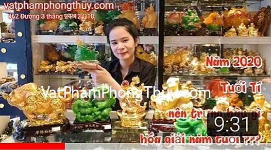 Năm 2020 tuổi Tí nên trưng bày gì để hóa giải năm tuổi ???
