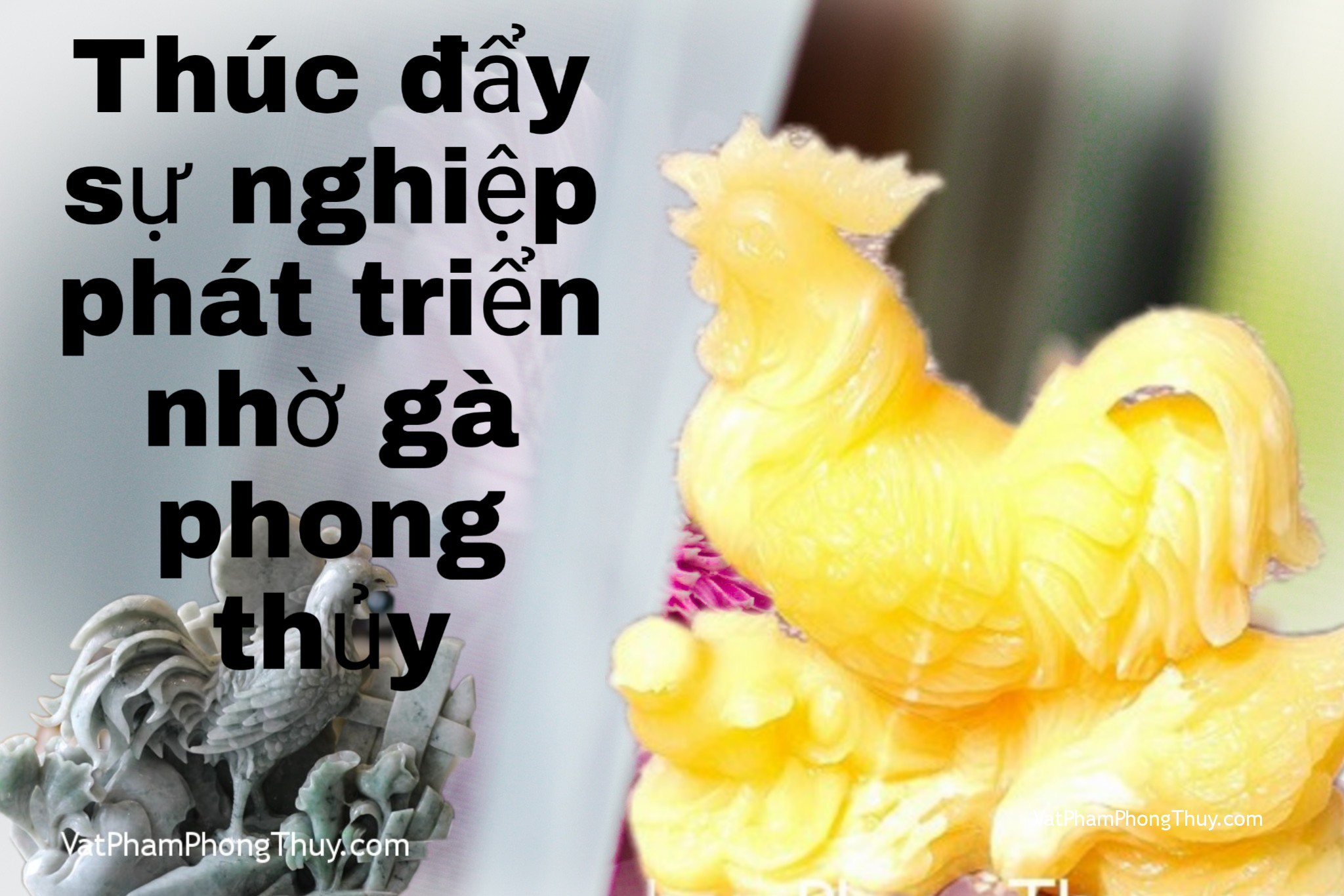 Thúc đẩy sự nghiệp phát triển nhờ đặt gà phong thủy - [Tỉ Tỉ Chuyện Phong Thủy]