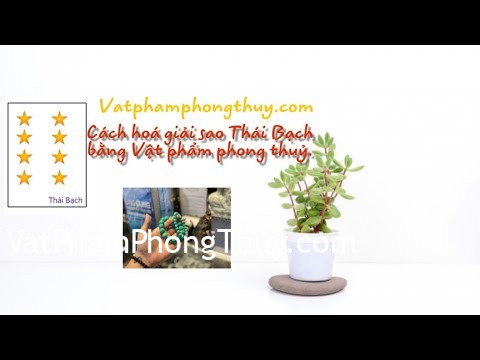 -Hoá giải sao hạn- Hoá giải sao Thái Bạch bằng Vật phẩm phong thuỷ