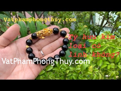 Tỳ hưu bằng vàng có độ ta không????