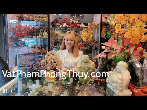 Đi tân gia nhà mới nên 🎁 gì để gia chủ đầy 💸???
