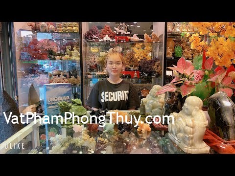 -Vật phẩm phong thuỷ- Long quy dùng thế nào trong phong thuỷ ???