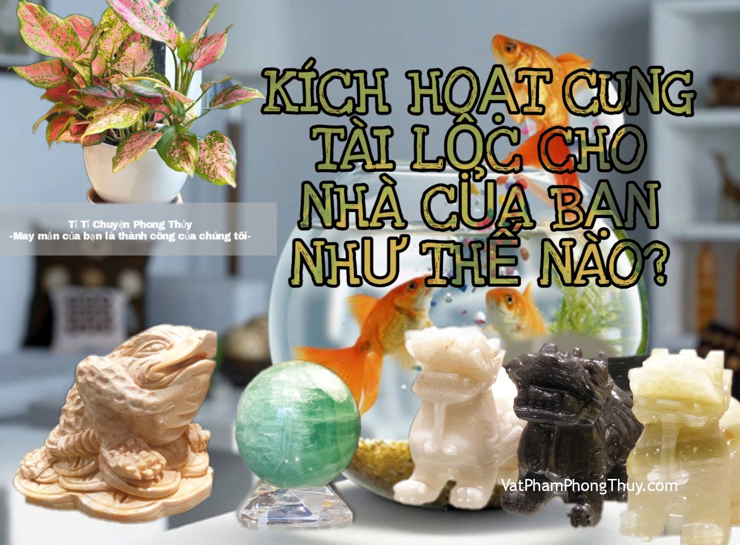 Kích hoạt cung Tài Lộc trong công ty, cửa hàng kinh doanh hay nhà ở bằng cách nào? Ep32 [Tỉ Tỉ Chuyện Phong Thủy]
