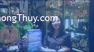 Bạn biết gì về Mã não -Viên đá quốc dân ?