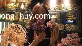 "Rủng rỉnh" tiền tiêu Tết nhờ CÂY TÀI LỘC ĐÁ PHONG THỦY