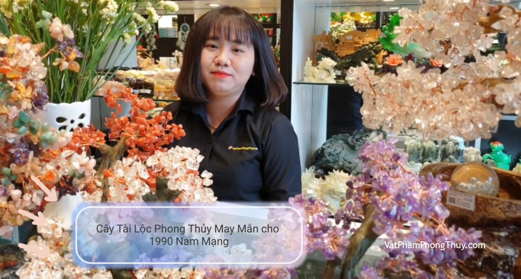 Nam 1990 trưng bày cây tài lộc phong thủy nào thu hút vận may? Ep26 [Tỉ Tỉ Chuyện Phong Thủy]