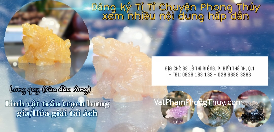 Rùa Đầu Rồng - LINH VẬT TRẤN TRẠCH HƯNG GIA, HÓA GIẢI TAI ÁCH HIỆU QUẢ - Ep23 [Tỉ Tỉ Chuyện Phong Thủy]