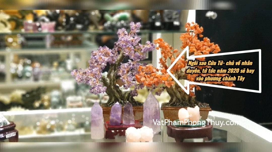 Kích hoạt sao Cửu Tử - Cát tinh chủ về nhân duyên và tử tức - Phi tinh năm 2020☆Hướng Chánh Tây [Tỉ Tỉ Chuyện Phong Thủy]