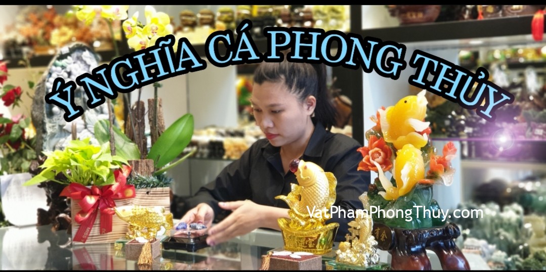Ý nghĩa cá phong thủy - Biểu tượng của sự dư dả quanh năm| Ep 69 [Tỉ Tỉ Chuyện Phong Thủy]