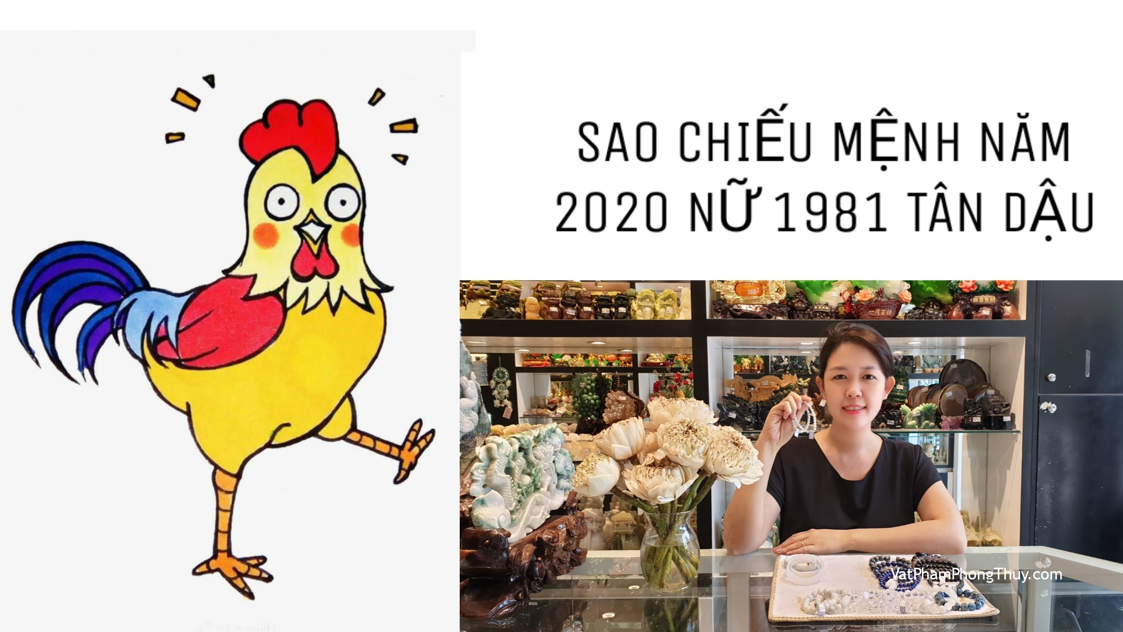Sao chiếu mệnh tuổi Tân Dậu 1981 năm 2020 nữ mạng| Ep68 [Tỉ Tỉ Chuyện Phong Thủy]