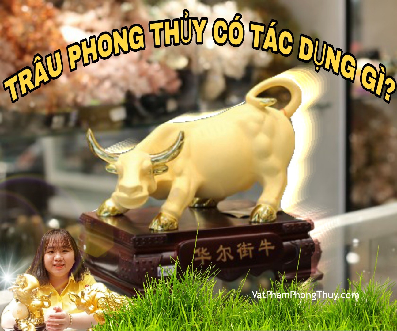 Ep80 - Tác dụng của việc bài trí trâu trong phong thủy [Tỉ Tỉ Chuyện Phong Thủy]