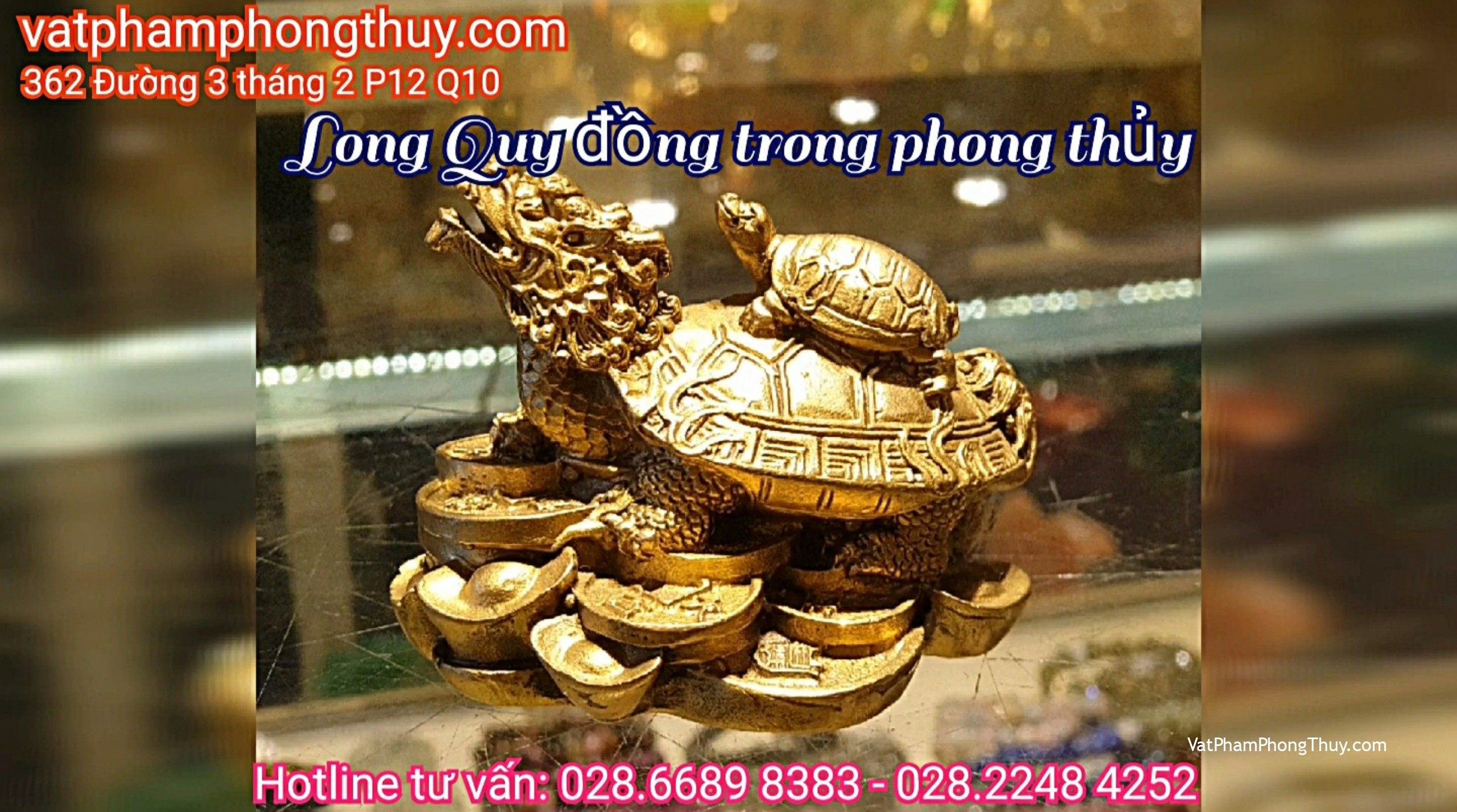 Tìm hiểu về Long quy đồng ???
