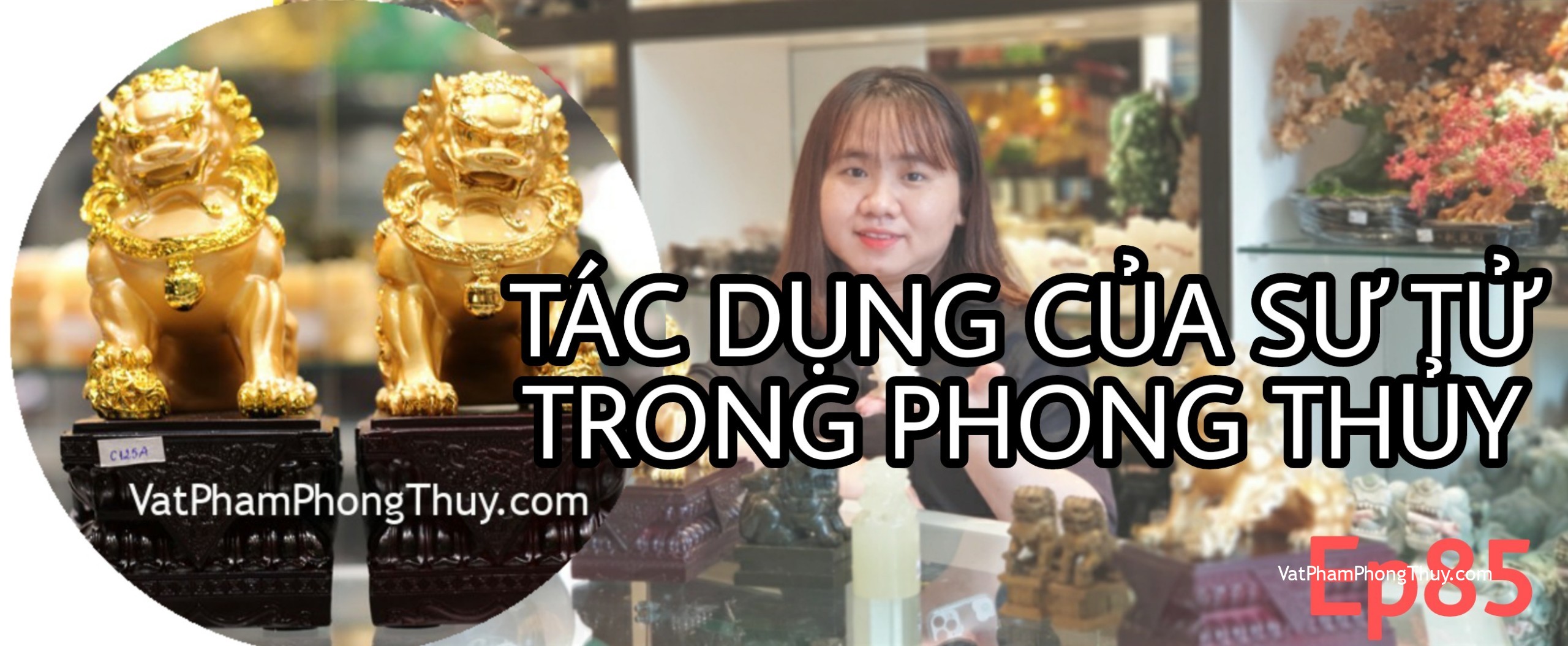 Ep85- Tìm cặp sư tử phong thủy độc đáo trưng bày tăng cường quyền lực và trấn trạch hưng gia [Tỉ Tỉ Chuyện Phong Thủy]