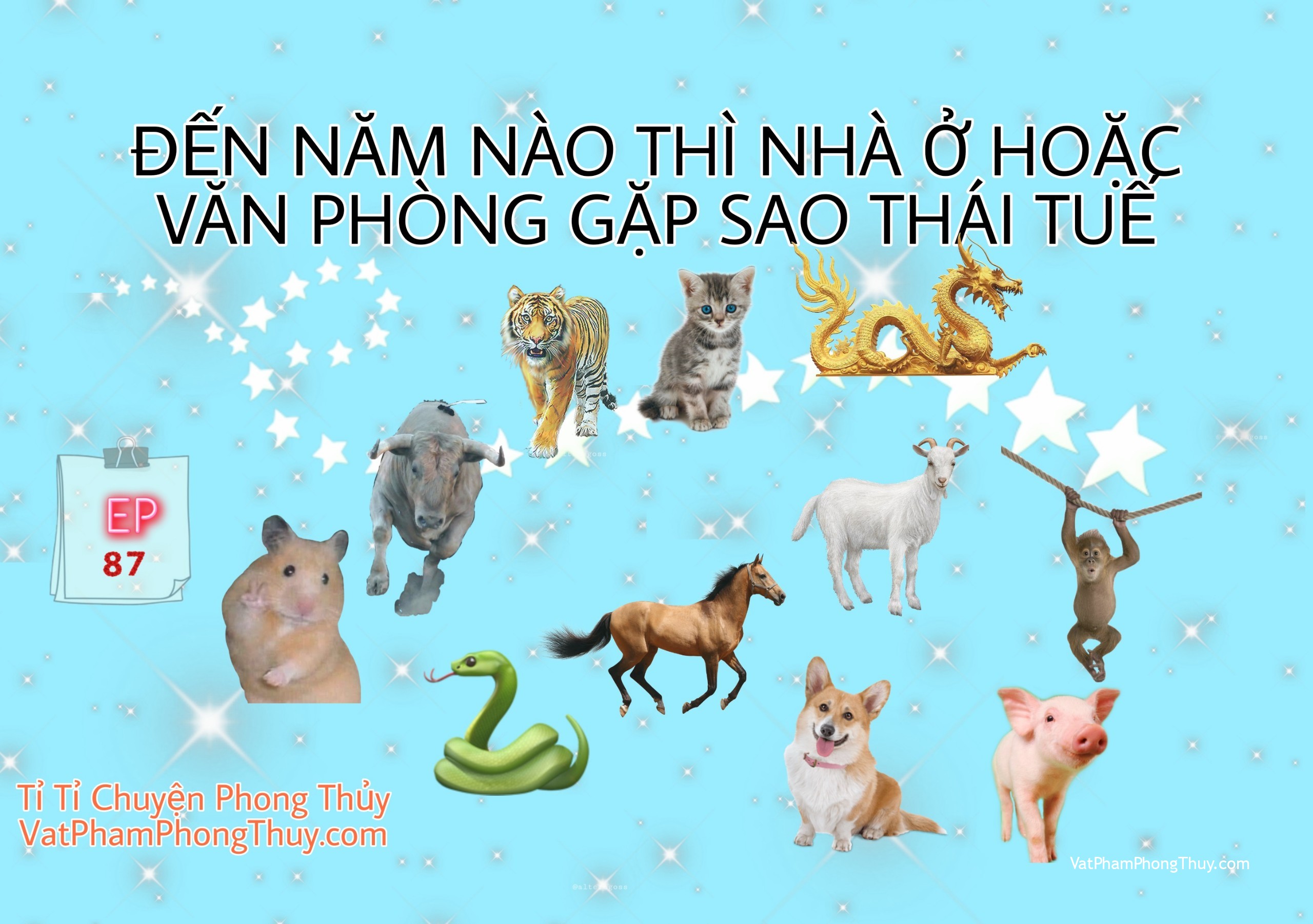 Ep87- Đến năm nào thì nhà ở hoặc văn phòng bị sao Thái Tuế? [Tỉ Tỉ Chuyện Phong Thủy]